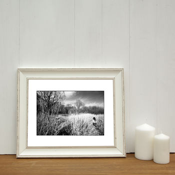 Grass Clearing, Suffolk Photographic Art Print, 2 of 4