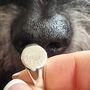 Personalised Silver Dog Nose Print Ring, thumbnail 4 of 8