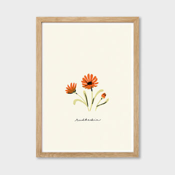 Orange Rudbeckia Cottage Garden Botanical Print, 2 of 4