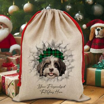 Personalised Christmas Havanese Break Through, 6 of 10