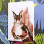 Inky Squirrel Notebook, thumbnail 7 of 8