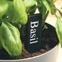 Eco Friendly Set Of 12 Vegetable Or Herb Plant Labels, thumbnail 1 of 2