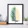 Areca Palm Leaf Fine Art Giclée Print, thumbnail 6 of 6
