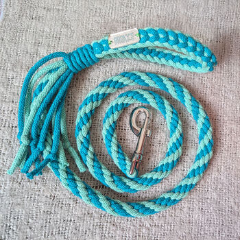 Make Your Own Mint Green Dog Lead Craft Kit, 5 of 5