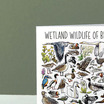 Wetland Wildlife Of Britain Greeting Card, 4 of 8