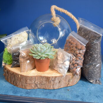 Glass Globe Terrarium Kit With Succulent Or Cactus Gift, 4 of 10