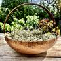 Vintaged Copper Bowl Planter With Handle, thumbnail 2 of 8