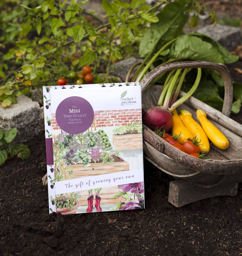 Mini Year Round Veg Patch Experience Gift Voucher By Rocket Gardens