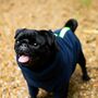 Pug Polartec Water Resistant Dog Coat, thumbnail 2 of 9