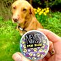 Natural Dog Paw Balm Beeswax, Lavender And Calendula, thumbnail 1 of 5