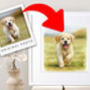 Personalised Watercolour Pet Portrait Custom Dog, Cat, Animal Art, thumbnail 1 of 6