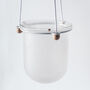 Orla, Hanging Glass Planter, Ideal For Orchids, thumbnail 11 of 12