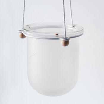 Orla, Hanging Glass Planter, Ideal For Orchids, 11 of 12