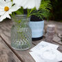 Grow Your Own Bouquet With Designer Vase Gift Set, thumbnail 2 of 11