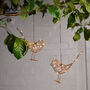 Hanging Robin Decoration, thumbnail 1 of 8