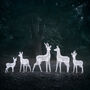Set Of Five Swinsty Dual LED Light Up Reindeer, thumbnail 5 of 6