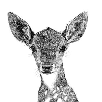 Deer Print, 2 of 3