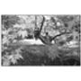 Boy And Girl In Woodland Photographic Art Print, thumbnail 3 of 4