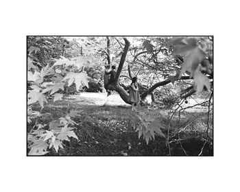 Boy And Girl In Woodland Photographic Art Print, 3 of 4