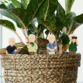 Mini Indoor Plant Pot Figurines Attenborough Explorers, 3 of 3