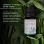 White Sage Essential Oil Gift Set, thumbnail 5 of 7