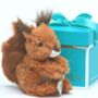 Red Squirrel Soft Toy With Personalised Heart,Boxed, thumbnail 1 of 4