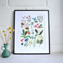 Floral 'Summer Plant' A3 Print, thumbnail 1 of 2