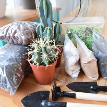 Open Terrarium Kit With Succulent Cactus Plant Gift, 8 of 8
