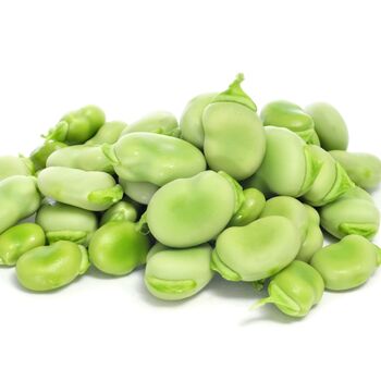 Seeds Broad Beans 'Imperial Long Pod' 12 X Seed Pack, 5 of 9