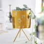 Yellow Bee Print Mini Planter And Stand, H14cm, thumbnail 1 of 5