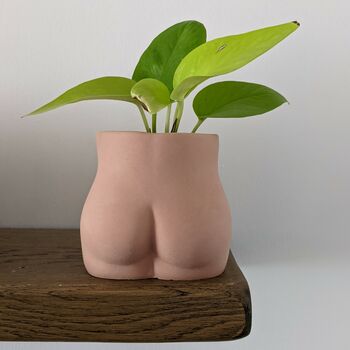 Handmade Bum Plant Pot, 5 of 7