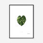 Golden Pothos Heart, Botanical Art Print, thumbnail 2 of 2