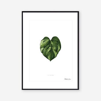 Golden Pothos Heart, Botanical Art Print, 2 of 2