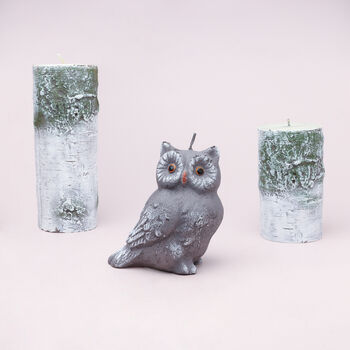 G Decor Birch Tree Effect Grey 3D Owl Pillar Candle, 2 of 6