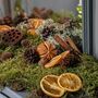 Natural Christmas Floristry Display Box, thumbnail 4 of 11