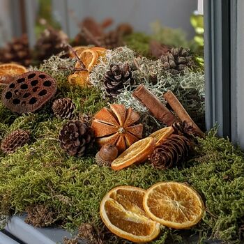 Natural Christmas Floristry Display Box, 4 of 11