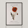 Birth Flower Wall Print 'Poppy' For August, thumbnail 2 of 9