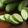 Vegetable Plants Cucumber 'Petita' Six X Plug Pack, thumbnail 3 of 5