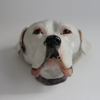 Wall Mounted Pet Head Sculpture, 5 of 9