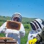 Beekeeping Experience In West Yorkshire, thumbnail 4 of 6
