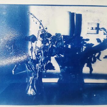 Cyanotype Print Making Workshop Experience In Manchester, 2 of 11
