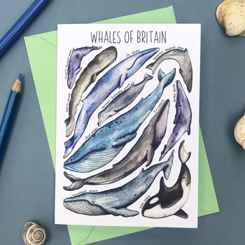 Whales Of Britain Art Blank Greeting Card, 2 of 9