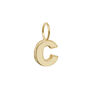 Yellow Gold Initial Pendant, thumbnail 3 of 12