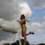 Sparkle Festival Adult Shorts, thumbnail 1 of 12