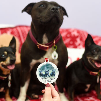 Personalised Pet Photo Christmas Bauble Decoration, 7 of 12