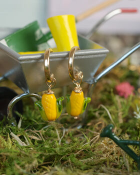 Corn Cobs, 2 of 2