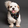 Personalised Tricks For Treats Halloween Dog Bandana, thumbnail 5 of 5