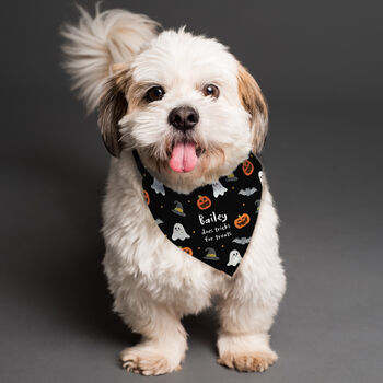 Personalised Tricks For Treats Halloween Dog Bandana, 5 of 5