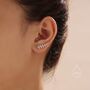 Sterling Silver Leaf Crawler Earrings, thumbnail 5 of 12