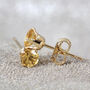 Yellow Citrine Stud Earrings In Silver Or Gold, thumbnail 7 of 11